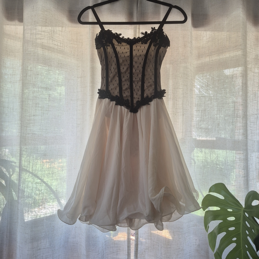 Elegant Black and Cream Lace Dress